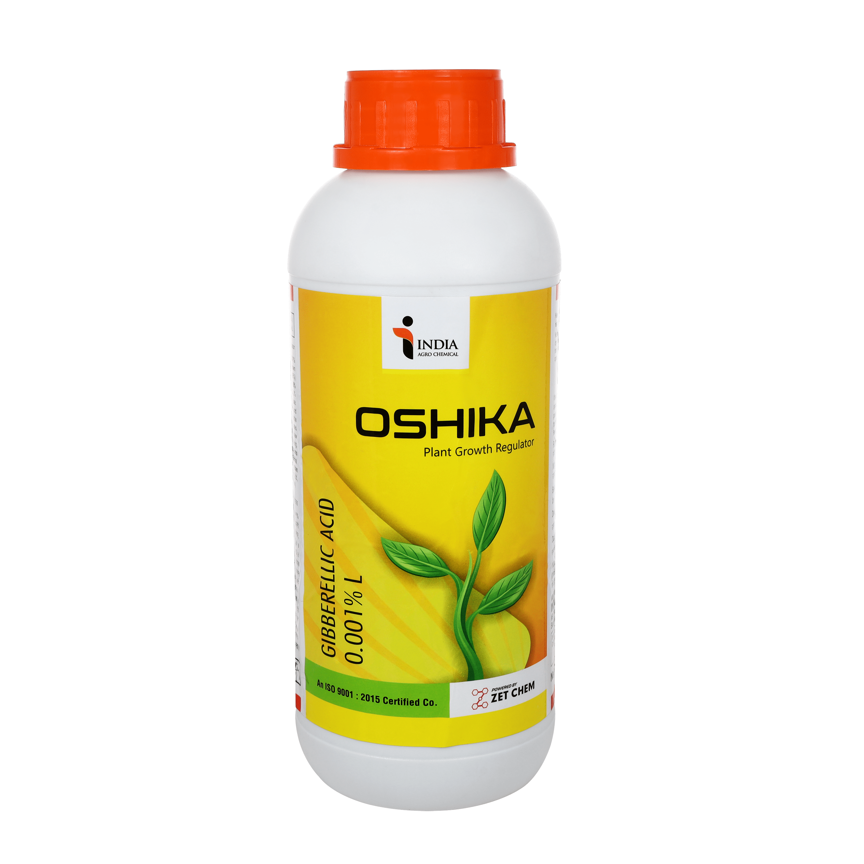 Oshika 2 Oshika 2