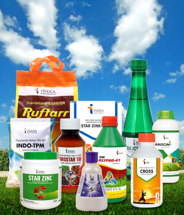 Mobile View Banner 640x750 12