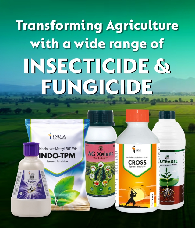 Mobile View Banner 640x750 4